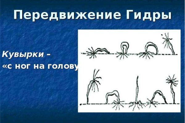 Кракен рабочий сайт